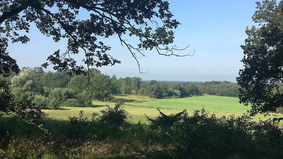 Springendal en Dal van de Mosbeek.