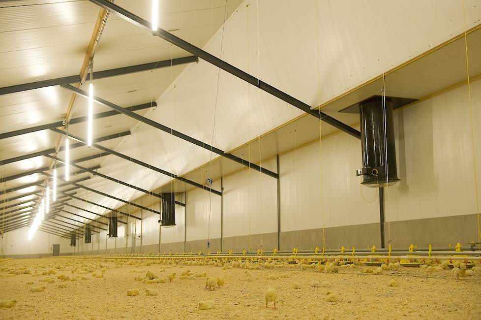 Het innovatieve SunBro stalconcept voor vleeskuikens