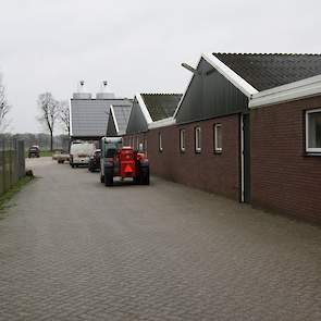 Alle vijf stallen staan parallel naast elkaar. Een paar jaar geleden bouwde Salomons een centrale gang voor de eierbanden om alle eieren naar het centrale eierlokaal te transporteren.