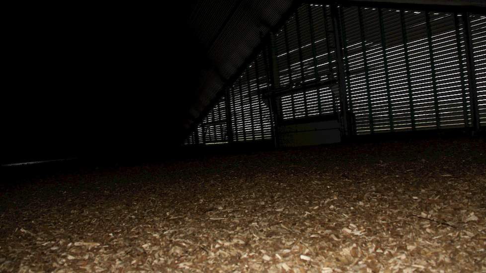 De stallucht moet daarna door een laag houtsnippers van 25 centimeter. „De ammoniak- en fijnstofdeeltjes uit de stallucht blijven achter in de houtsnippers en zo gaat er schonere lucht naar buiten”, legt Frank uit