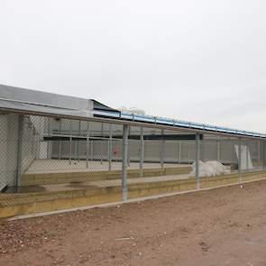 De bosrand is het achterste gedeelte van de uitloop, tussen de planken, in het Rondeelconcept. Hier komen straks houtsnippers te liggen waar de hennen in kunnen pikken zodat ze hun natuurlijk gedrag kunnen vertonen. Bij de drie andere Rondeelstallen zit h