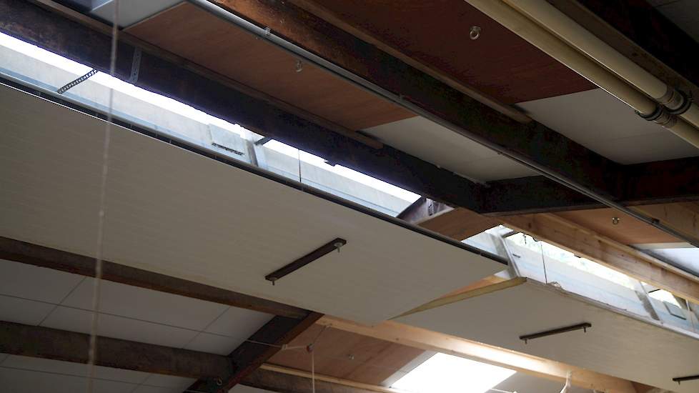 De vleeskuikenhouders werken in alle vier stallen met open nok ventilatie. Daardoor houden ze de elektriciteitskosten laag.