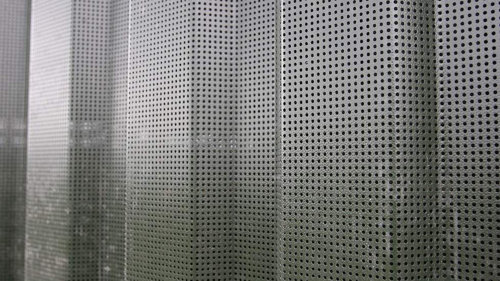 De overdekte uitloop is voorzien van geperforeerd damwand. „Doek is snel vies en als je het schoon spuit, gaat het gauw kapot. We verwachten dat geperforeerd damwand een langere levensduur heeft”, licht Wilco toe.