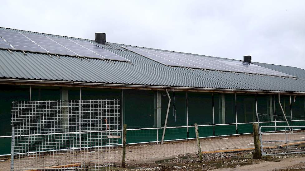 Op het dak van hun nieuwe stal liggen zonnepanelen waardoor ze 70 procent van hun stroombehoefte zelf op kunnen wekken.