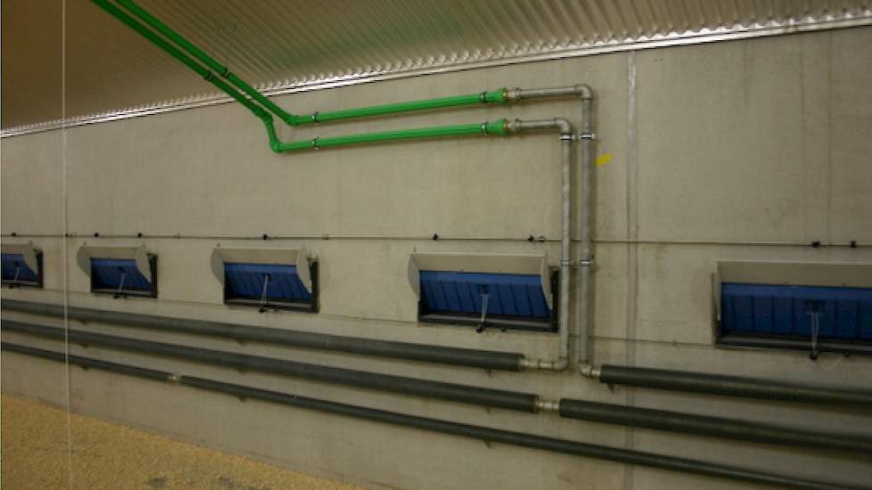 Het Spiraflex buizenverwarmingsysteem in de vleeskuikenstal van de familie Elshof in het Overijsselse Laag Zuthem. Foto van Boers Techniek V.O.F.