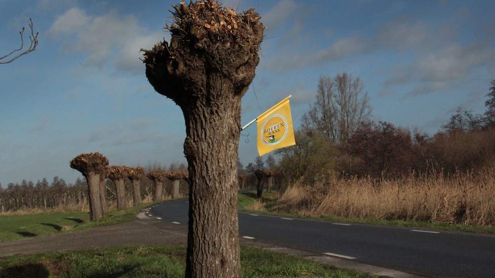 Het dijkje wijst de weg naar de zuivelboerderij te Haaften.