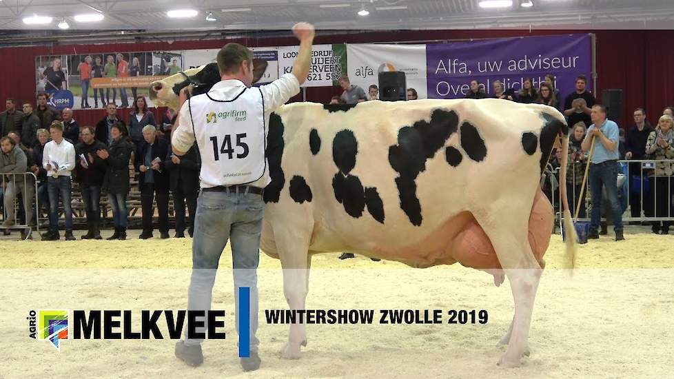 Wintershow Zwolle met algemeen kampioenen en productietoppers