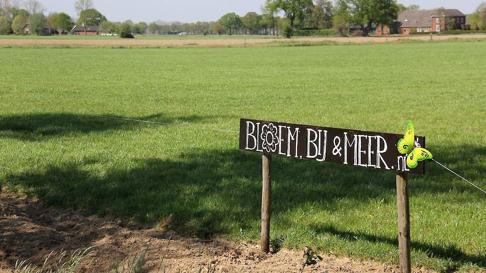 Omdat zoveel burgers op social media zich druk maken om de bijen, bedacht Leonie Krebber van de maatschap Bramel-Krebber in Megchelen, dat het een goed idee zou zijn dat burgers een stuk grond zouden kunnen inzaaien met bloemen. Voor 5 euro per meter mag