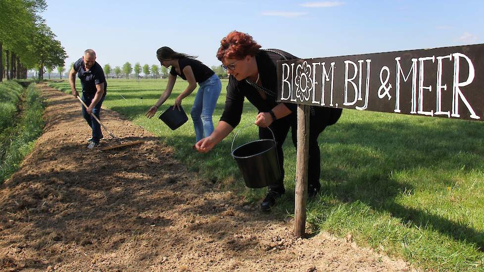 De strook landbouwgrond van anderhalve meter breed en 120 meter lang, naast een wei waar vaak de 100 melkkoeien van de maatschap lopen, is gefreesd maar moet nog worden geharkt. Leonie, Hein en dochter Sanne (19) doen een dappere poging een begin te maken
