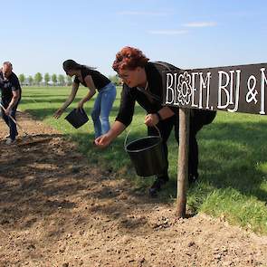 De strook landbouwgrond van anderhalve meter breed en 120 meter lang, naast een wei waar vaak de 100 melkkoeien van de maatschap lopen, is gefreesd maar moet nog worden geharkt. Leonie, Hein en dochter Sanne (19) doen een dappere poging een begin te maken