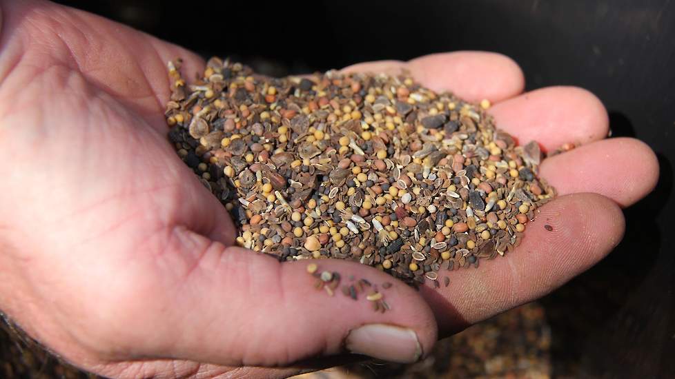 Het zaad is zeer divers; onder meer boekweit, dille, kaasjeskruid, klaproos, korenbloem, mosterd en goudsbloem zullen weldra het landschap sieren. Het bijenmengsel komt onder meer van de VAL (Vereniging Agrarisch landschap Oude IJssel). Dus als mensen bij