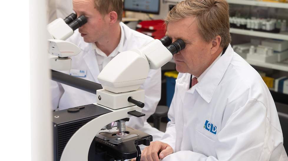 Nadat de koning sprak met diverse werknemers van het bedrijf, bekeek hij structuur van weefsel. Het weefsel uit de sectiezaal wordt bij de afdeling histologie geschikt gemaakt voor onderzoek met de microscoop, zodat de patholoog de structuur van het weefs