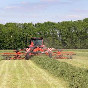 Koen is er vrij zeker van dat diezelfde avond nog alle gras aan de bult zit.