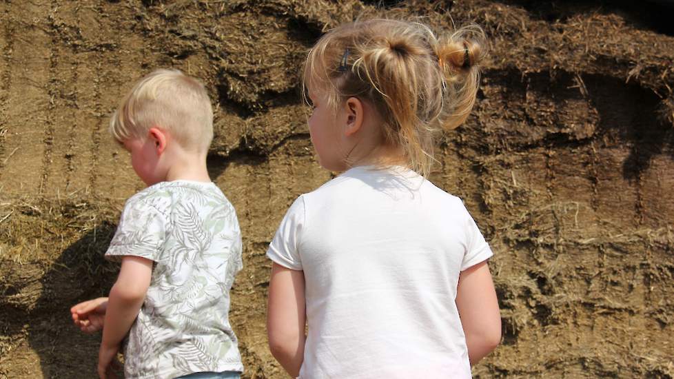‘Wat is kuilvoer? Hoe ruikt het gras? Wie eten hiervan?’ Vele vragen werden door de jonge kinderen beantwoord.