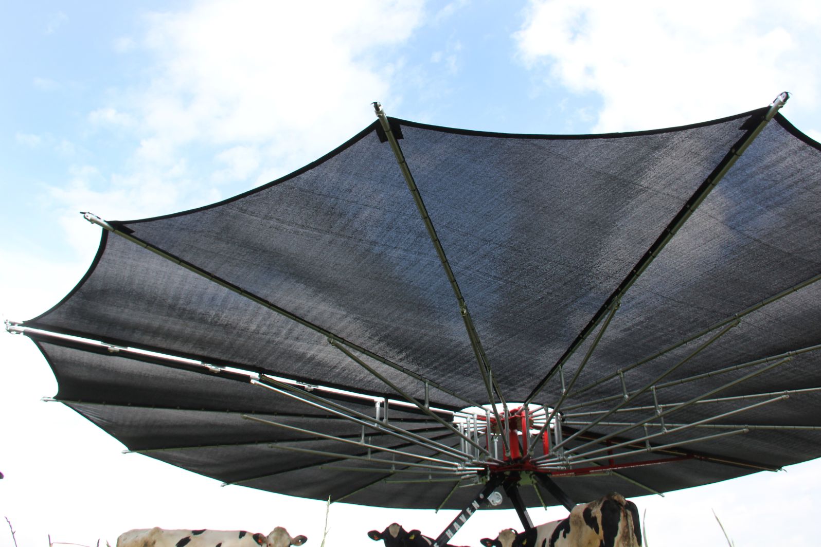 Parasol voor koeien Clearance