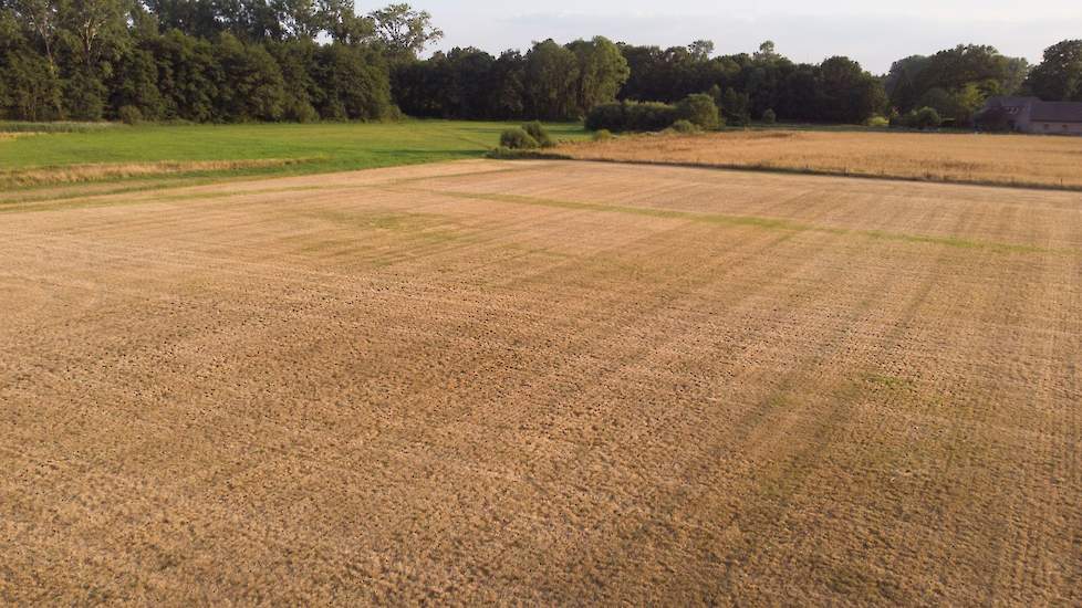 In en nabij natuurgebied De Zumpe bij Doetinchem mag niet met oppervlakte- en grondwater worden beregend van het waterschap. Tenzij de puls op 200 meter van het gebied vandaan ligt of het om de grasmat van De Graafschap gaat.