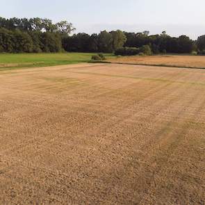 In en nabij natuurgebied De Zumpe bij Doetinchem mag niet met oppervlakte- en grondwater worden beregend van het waterschap. Tenzij de puls op 200 meter van het gebied vandaan ligt of het om de grasmat van De Graafschap gaat.