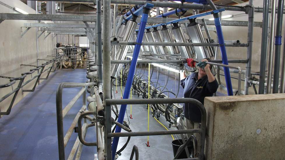 De melkstal is gedurende vijf jaar gebruikt in Duitsland. Ronald Nieuwenhuis kocht de stal, haalde de 2x15 stands er uit elkaar en bouwde deze met vereende krachten weer op tot een 2x14 stands in Beltrum. Het scheelt hem een 100.000 euro.