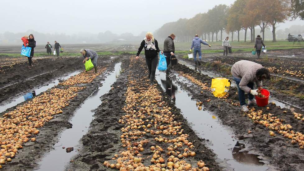 Voor het zaterdag was, mochten ook al zo’n 50 mensen het perceel uien betreden. Vandaag liep het af en aan. Met plastic tassen, boodschappentassen en emmers ging men aan het werk.