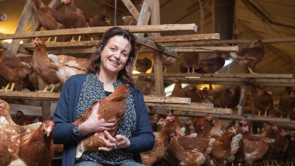 Legpluimveehoudster Jolanda Kieftenbeld uit het Overijsselse Haarle heeft samen met haar een broer een maatschap met leghennen en varkens. Jolanda  is verantwoordelijk voor het legpluimveebedrijf met 40.000 reguliere scharrelhennen. Daarnaast is ze heel a