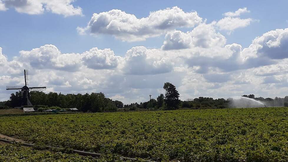 Fotoserie: Voor de laatste keer aardappelperceel beregenen in Persingen