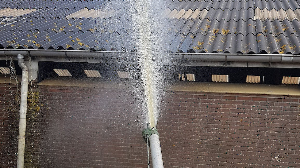 Jakob Blaauw, melkveehouder in de Eilandspolder tussen Beemster en Schermer (NH) houdt zijn dak koel met water. De koeien ervaren zo, zo min mogelijk hittestress.