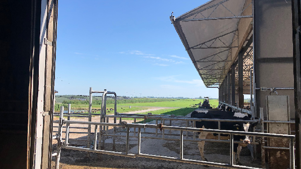 Ook Dairy Campus is volop bezig met het voorkomen van hittestress. "Bij deze temperaturen start hier het hitteprotocol om hittestress voor onze 550 koeien te voorkomen. Dus veel vers water, optimale ventilatie, geen onnodige lichtinval en ligplaatsen extr