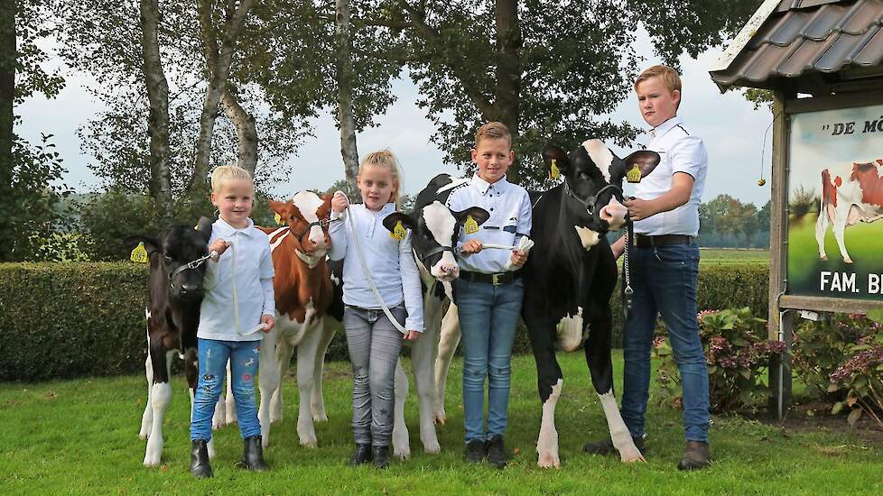 De kinderen van familie Blikman uit Ruurlo (GD) showen de kalveren.