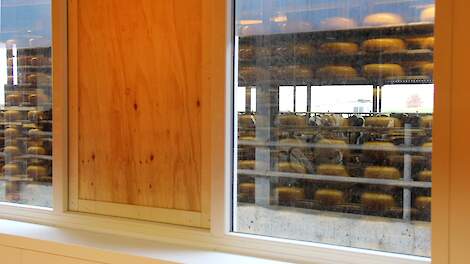 Fotoserie: Azen op gestolen kazen |.