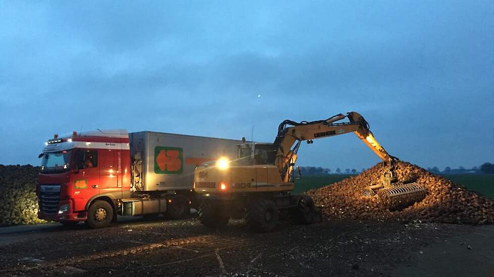 Door de regen nemen niet-afgedekte bieten water op, wat leidt tot hogere tarracijfers. Cosun Beet Company constateerde eerder dat relatief veel bietenhopen niet waren afgedekt.