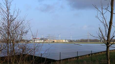 Afbeelding van een zonnepark in Groningen ter illustratie.
