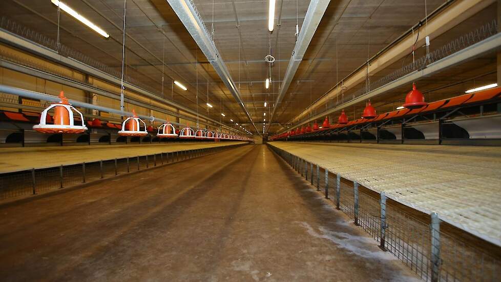 En dan zijn de stallen leeg. „Eerst wordt de mest behandeld en die moet 14 dagen blijven zitten. Daarna schoonmaken en ontsmetten. NVWA heeft drie keer ontsmet en zelf doen we nog een vierde ontsmetting zodat het zeker schoon is”, zegt Thom ter Haar.