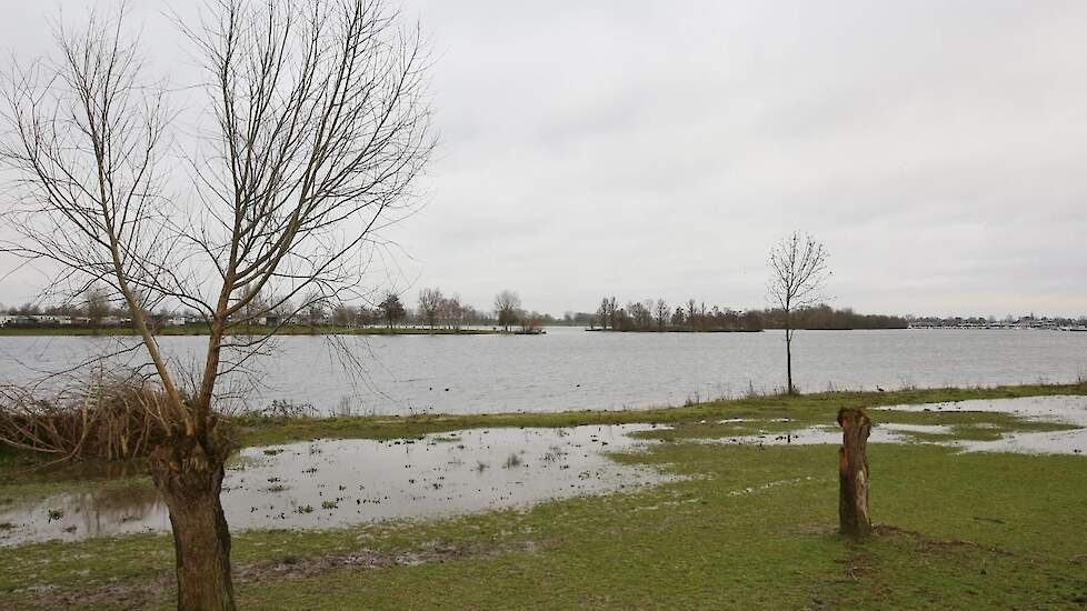 Nederland is een waterrijk land met steeds meer oog voor natuur. „Dat maakt vogelgriepbestrijding ontzettend moeilijk. We doen er alles aan: ongediertebestrijding, opgeruimd erf en hygiënisch werken. Maar toch overkomt het je: dat is de praktijk en daar m