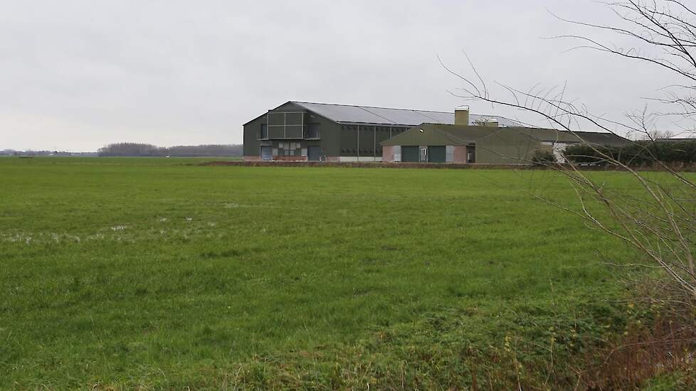 Het vermeerderingsbedrijf heeft drie stallen met in totaal 37.000 vleeskuikenouderdieren. Bedrijfsleider Thom ter Haar is verantwoordelijk voor  de dagelijkse werkzaamheden. In Rhenen houdt Pluimveegroep Van Beek 70.000 leghennen en exploiteert een paksta