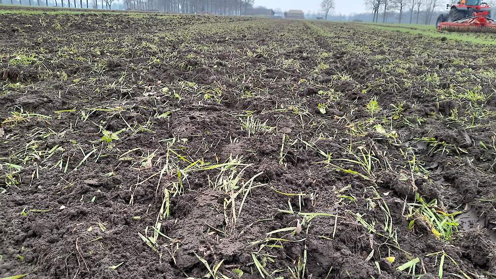 De Frees van Beltman uit Almen maakt het gras goed los.