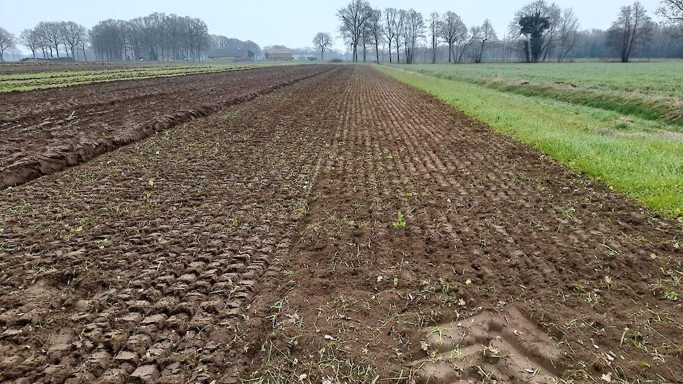 Zo laat de overtopfrees het perceel achter. Aan de linkerkant is te zien hoe de Ecoploeg het perceel achter liet.