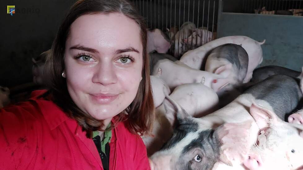 Wat eet een varken?! - Rhodee's vlog #3 - Vloggende jonge boeren