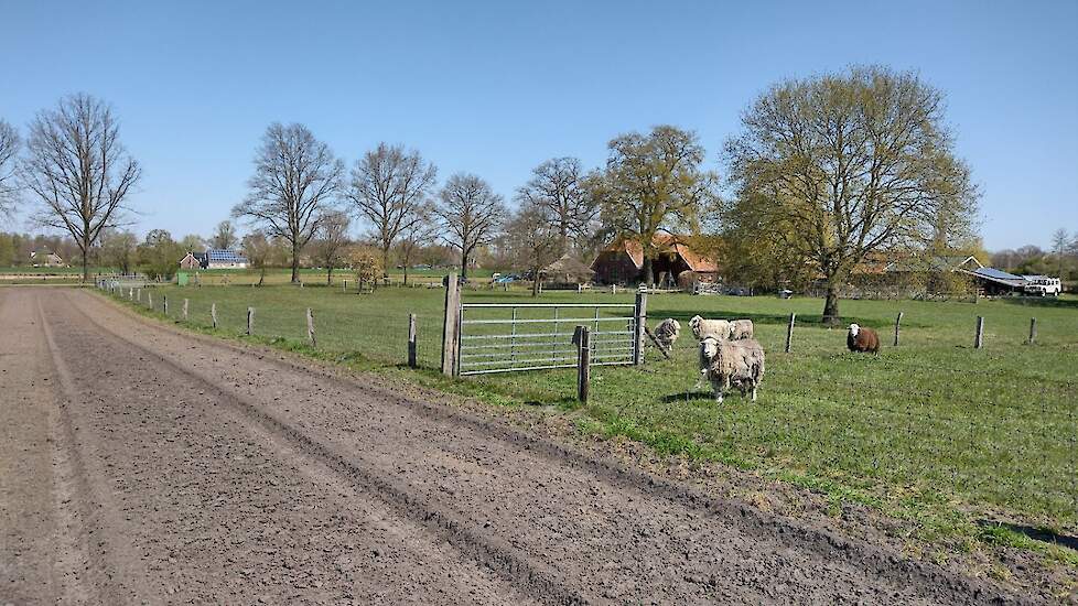 Het perceel waar zonnepanelen moeten komen in Westendorp grenst aan het perceel van zorgboerderij Breukelaar.