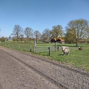 Het perceel waar zonnepanelen moeten komen in Westendorp grenst aan het perceel van zorgboerderij Breukelaar.