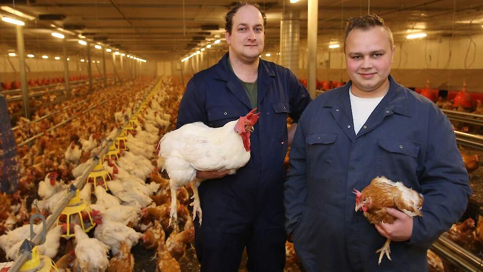 Melvin Hazeleger (23) nam in december vorig jaar het vleeskuikenouderdierenbedrijf over van broederij Morren. Links naast hem zijn rechterhand Martin Bloemendal (28).