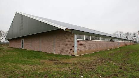 Beeld ter illustratie