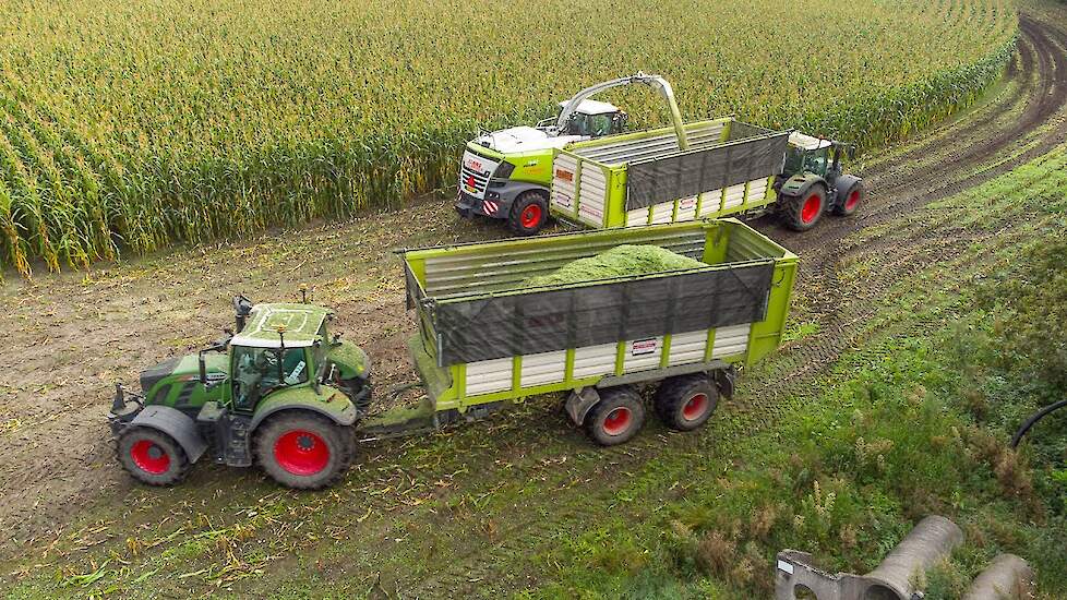 Mais hakselen 2021 met Claas Jaguar en Fendt | Gerritsen | DEEL 1
