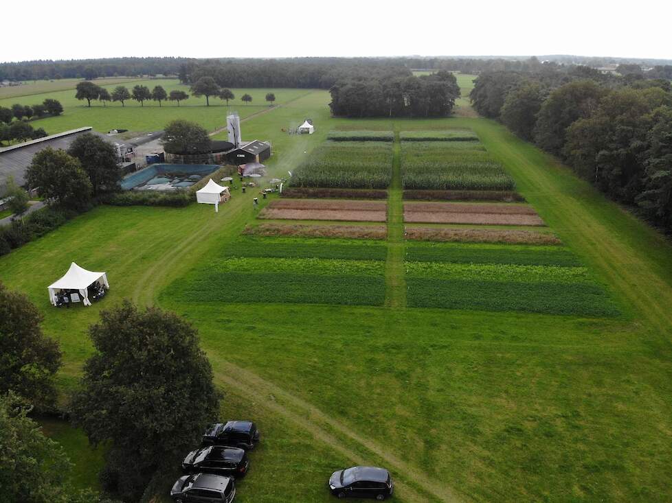 De proefvelden op de Marke met gewassen zoals sorghum, lupine, veldbonen en kruidenrijk grasland.