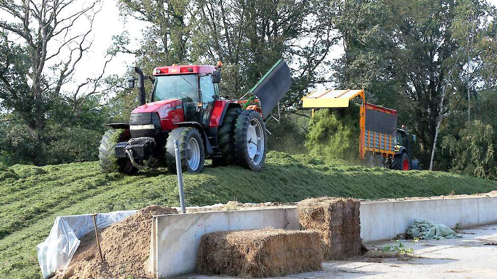 In totaal is er zo'n 60 hectare ingekuild voor melkveehouderij Schutte.