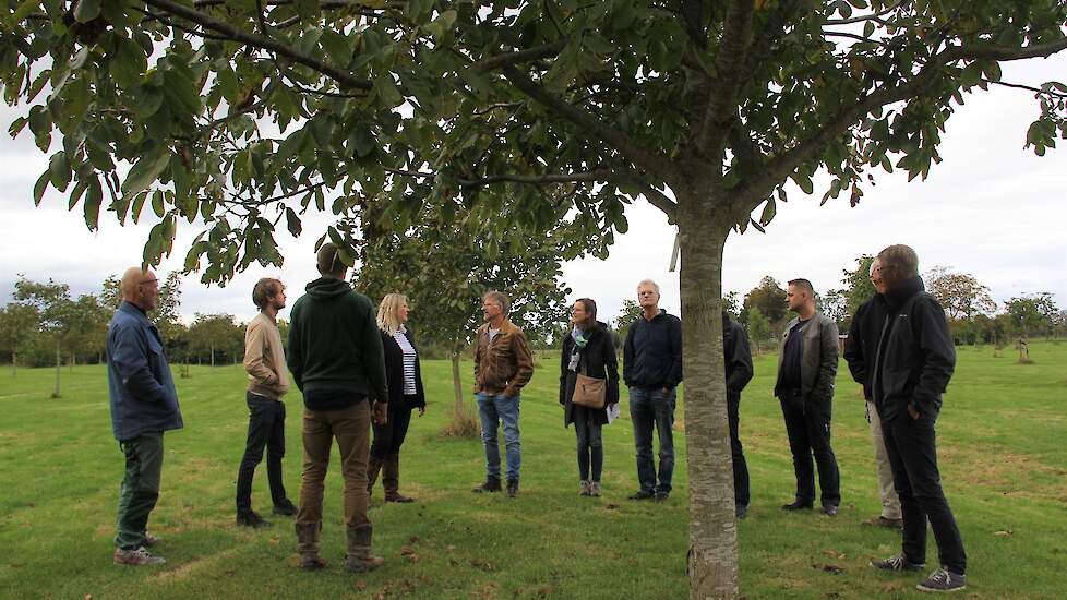 Excursie in de jonge boomgaard.