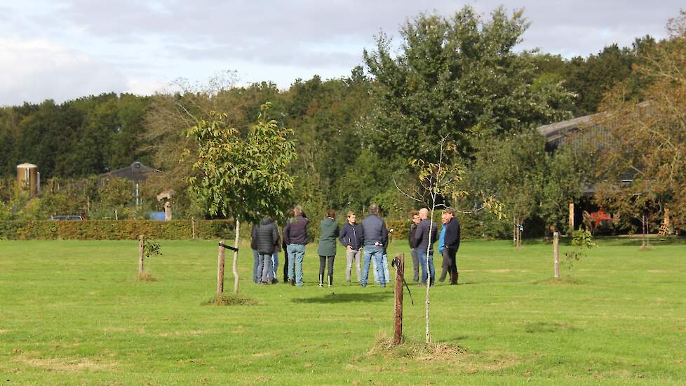 De bomen staan op de hoogste delen van de gaard.