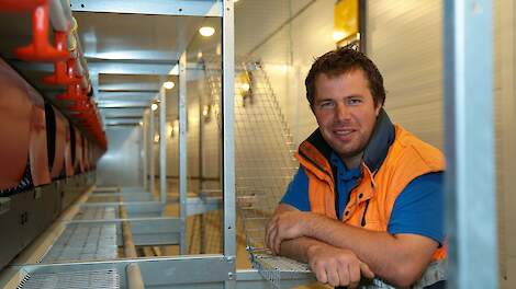De stal is ingericht met drie rijen volière van Chore-Time. „Ik vond dit een mooi systeem. Bovendien was de prijs aantrekkelijk, vergeleken met andere volière systemen”, zegt Henri Dekker.