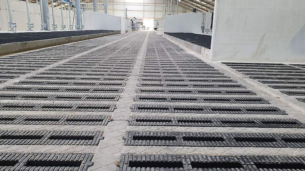 Op de vloer ligt een EcoFloor van rubber en beton die zorgt voor emissiereductie vanuit de melkput.
