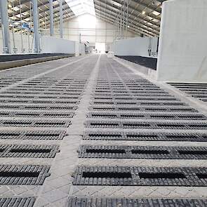 Op de vloer ligt een EcoFloor van rubber en beton die zorgt voor emissiereductie vanuit de melkput.
