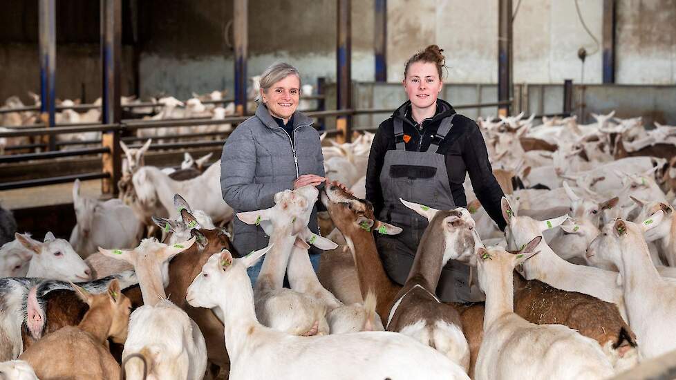 Geitenhoudster Yvonne Termeer (links) werkt met twee vaste arbeidskrachten die ze wierf via Facebook, onder wie Dianne van den Toorn (rechts).
